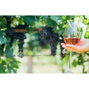 Se ve una mano que sujeta con la palma una copa de vino que contiene vino naranja, y en segundo plano se ven racimos de uvas colgados de la vid de forma difuminada