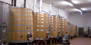 tanques de fermentacion del vino