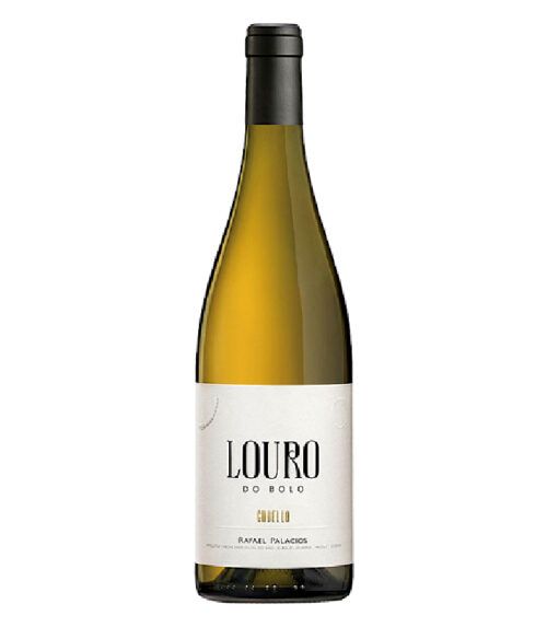 Louro do Bolo 2024